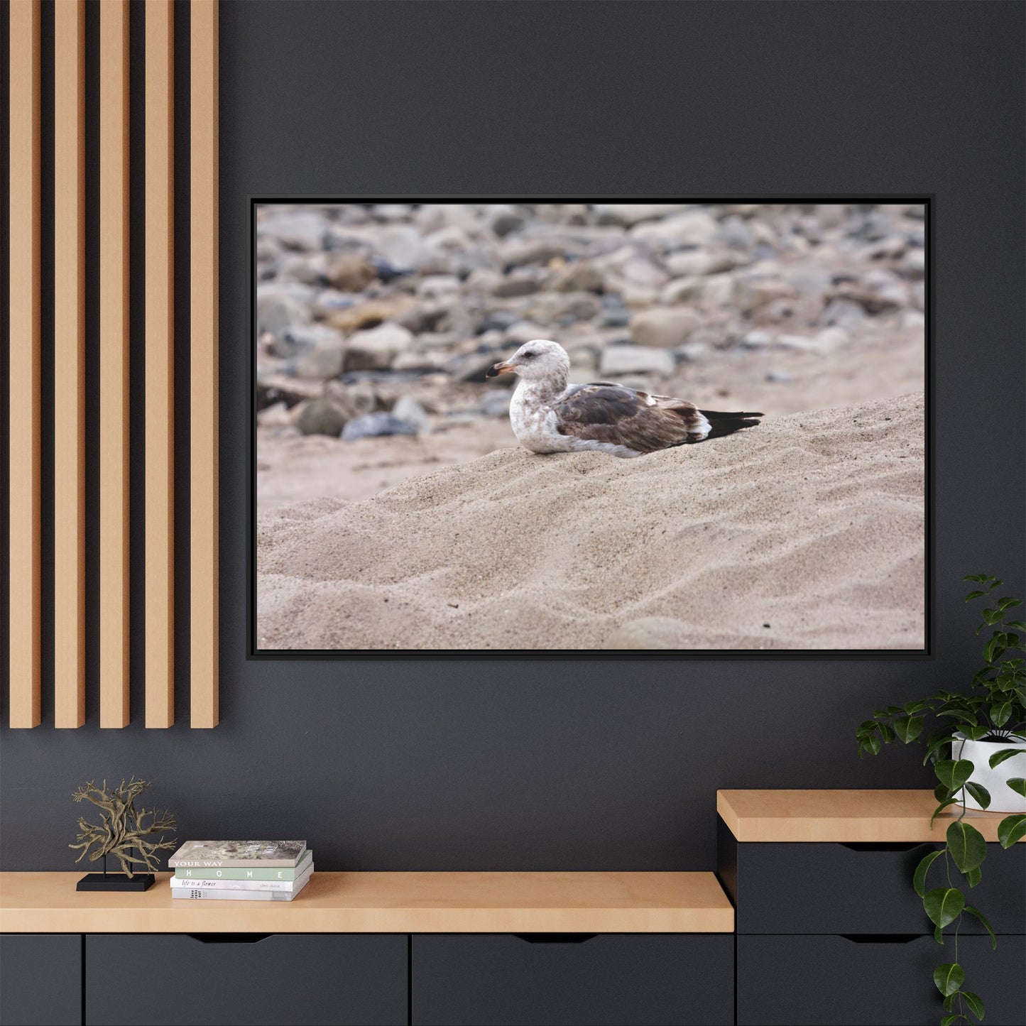 Seagull Serenity on the Shore 4278 - Thick Matte Canvas Print, Framed