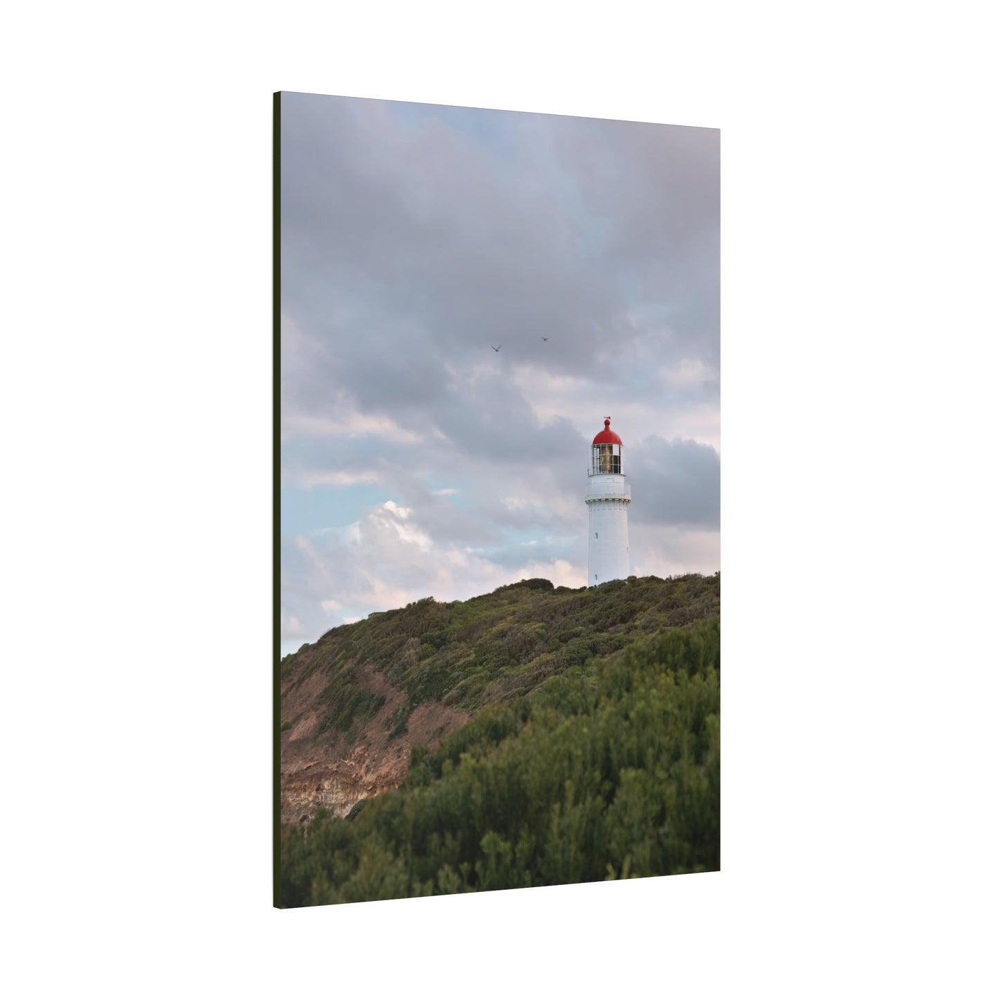 Cape Schank Lighthouse in Winter Light [6286] | Stretched Canvas
