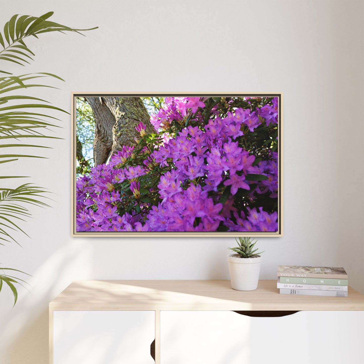 Azaleas in Bloom [3011] | Framed Canvas