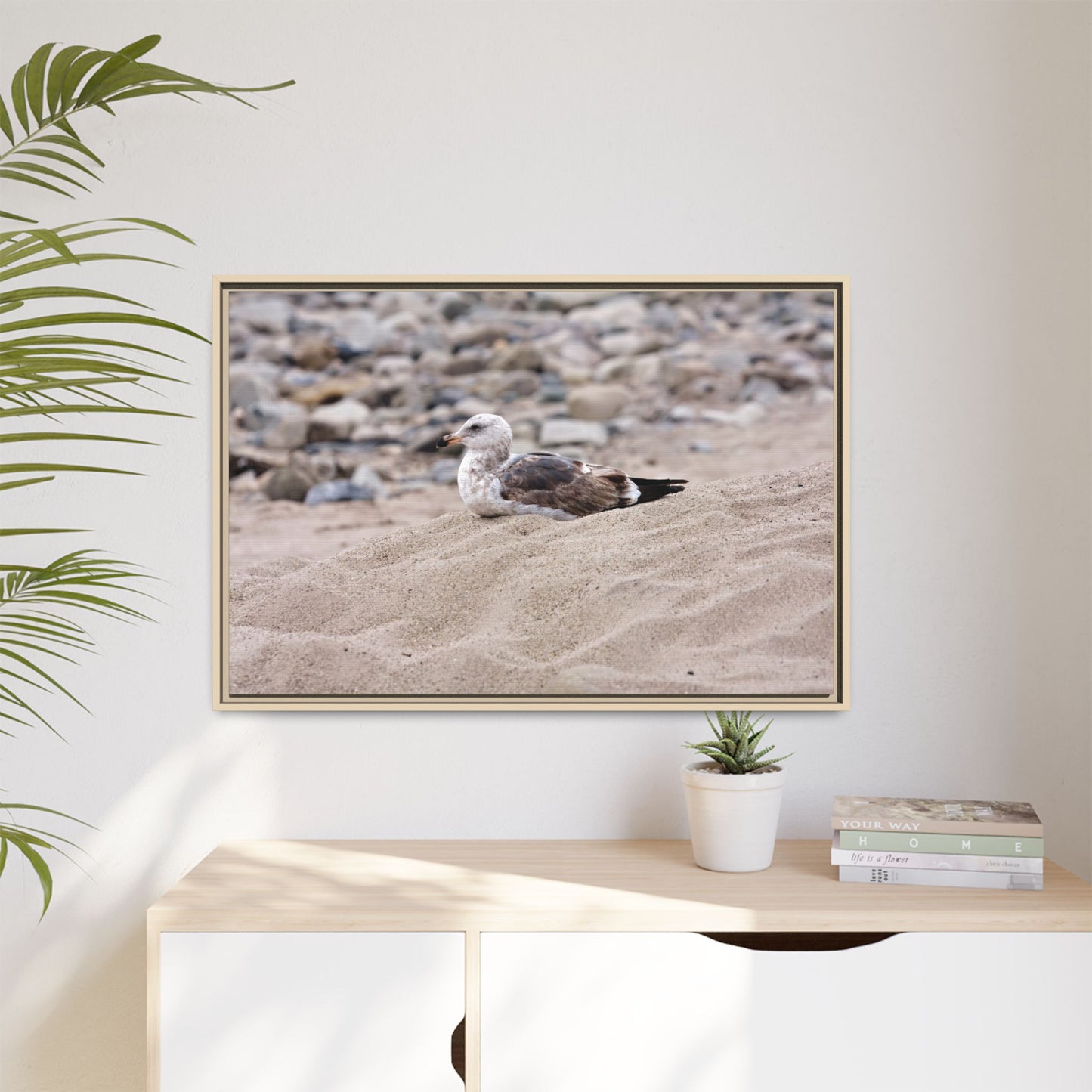 Seagull Serenity on the Shore [4278] | Framed Canvas