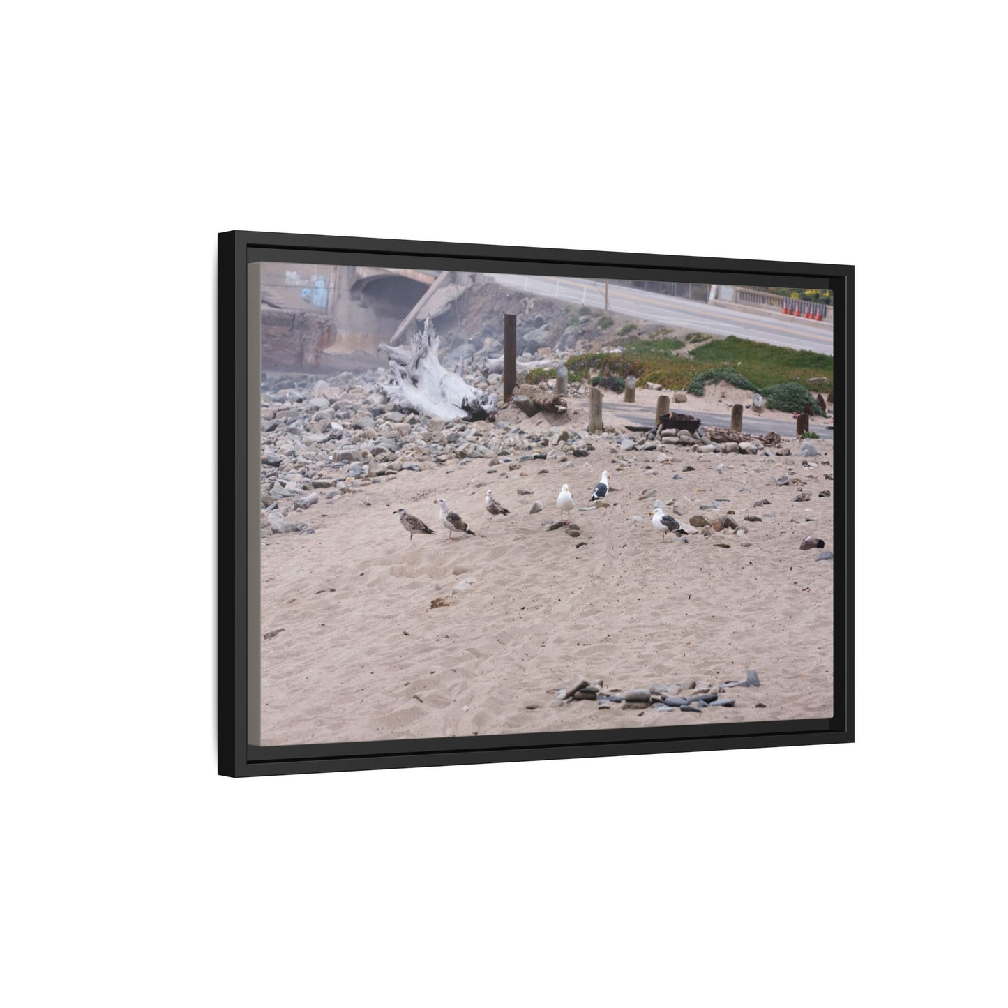 California Shoreline Escape [4275] | Framed Canvas