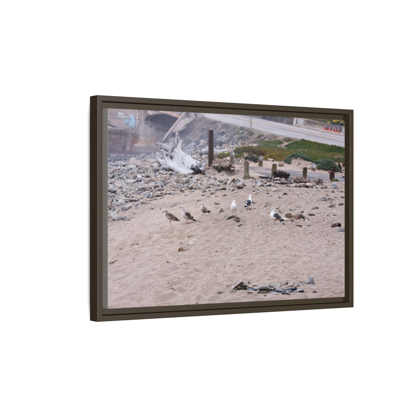 California Shoreline Escape [4275] | Framed Canvas