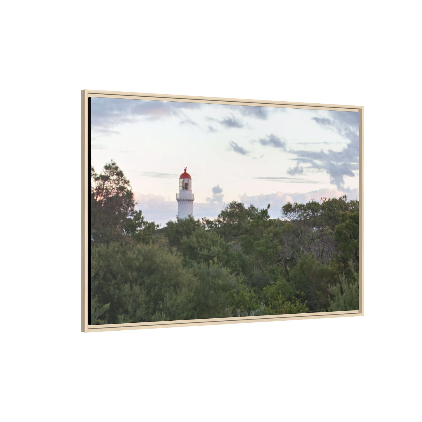 Cape Schank Lighthouse on a Winter Morning 6279 - Framed Canvas Print