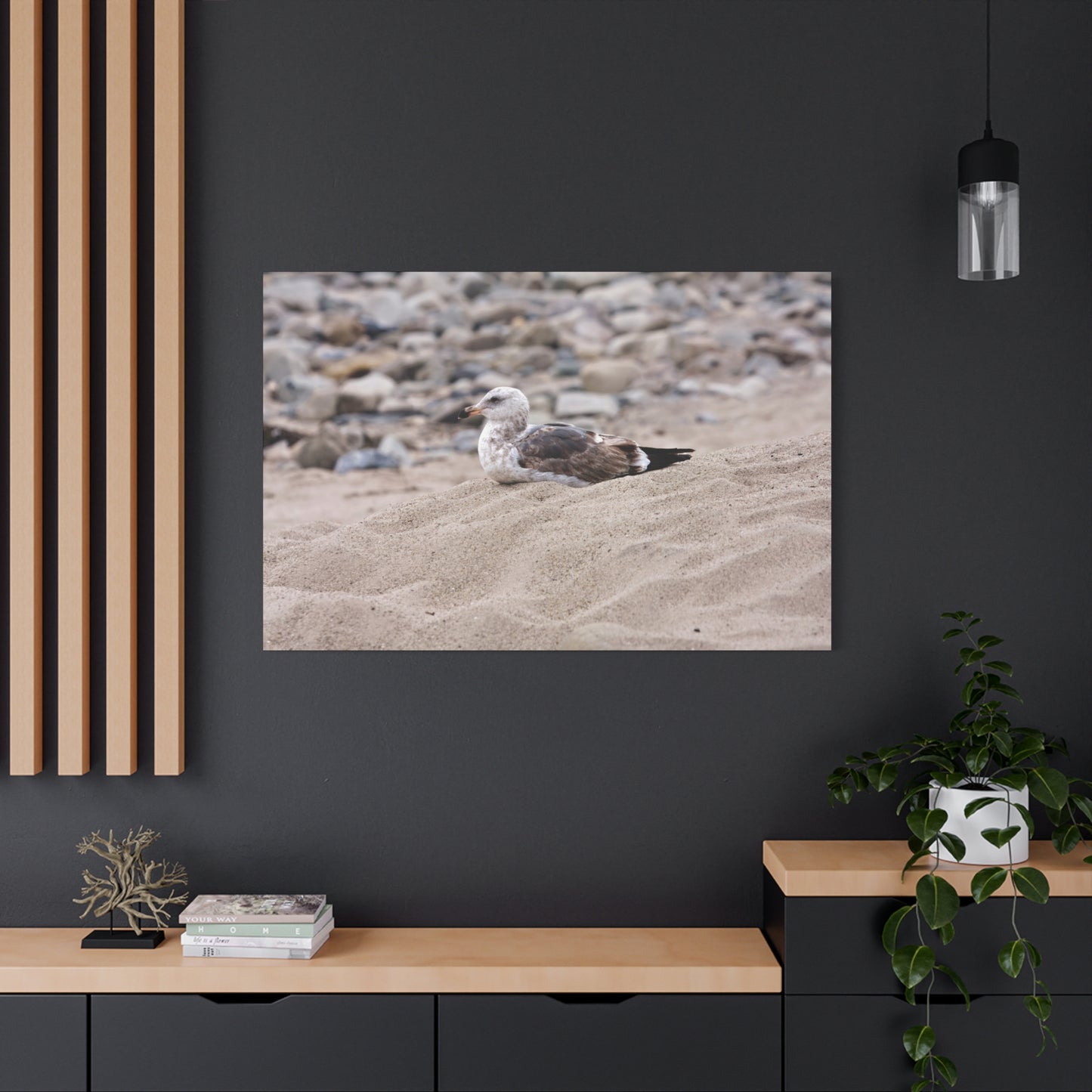 Seagull Serenity on the Shore 4278 - Thick Matte Canvas Print