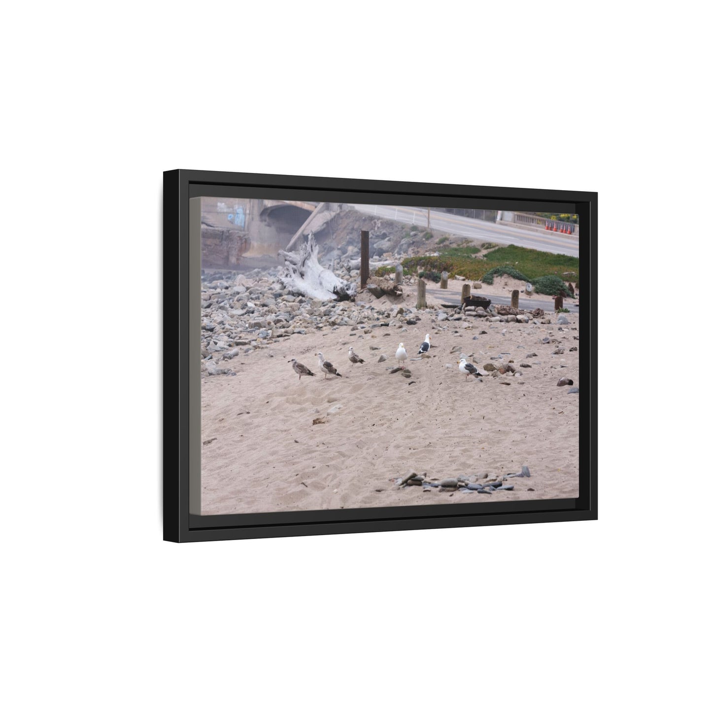 California Shoreline Escape [4275] | Framed Canvas