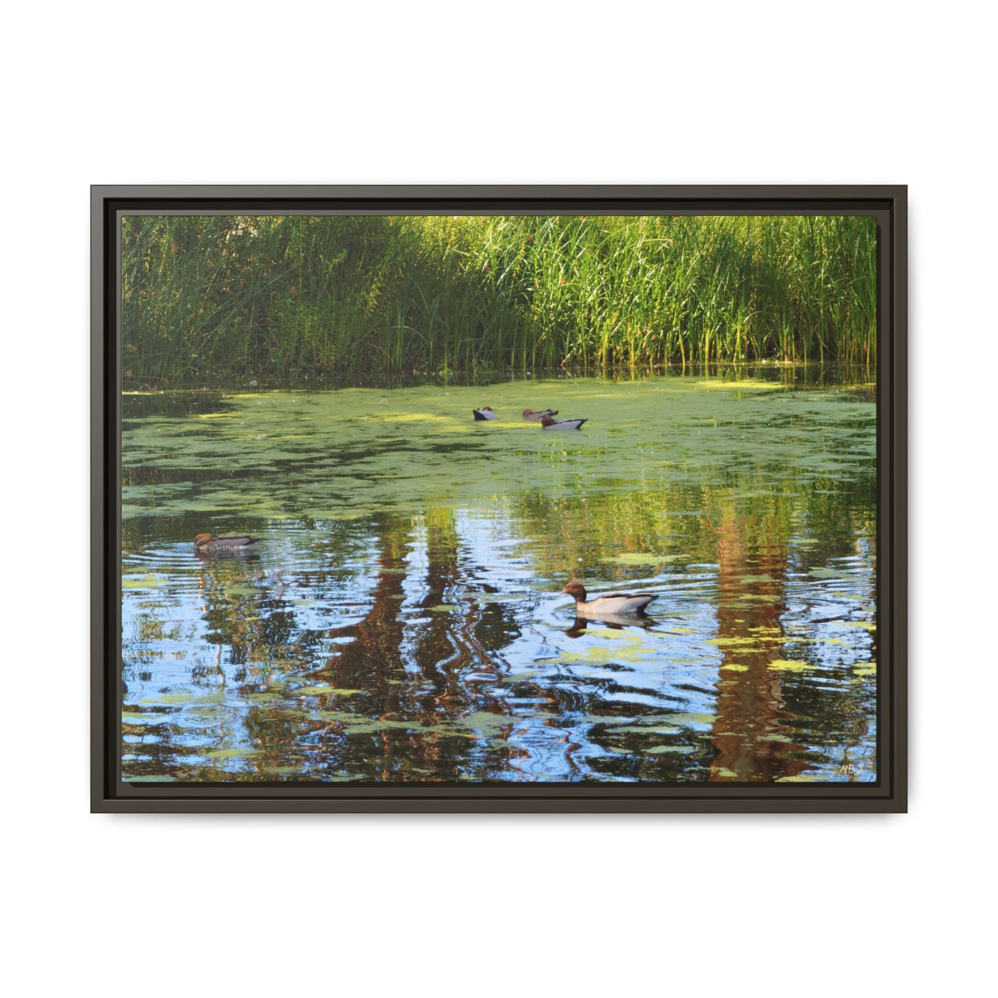 Late Morning Marsh Reflections at Croydon Park | The Framed Canvas Deployment
