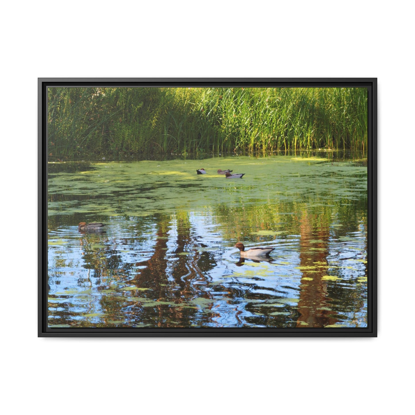 Late Morning Marsh Reflections at Croydon Park | The Framed Canvas Deployment