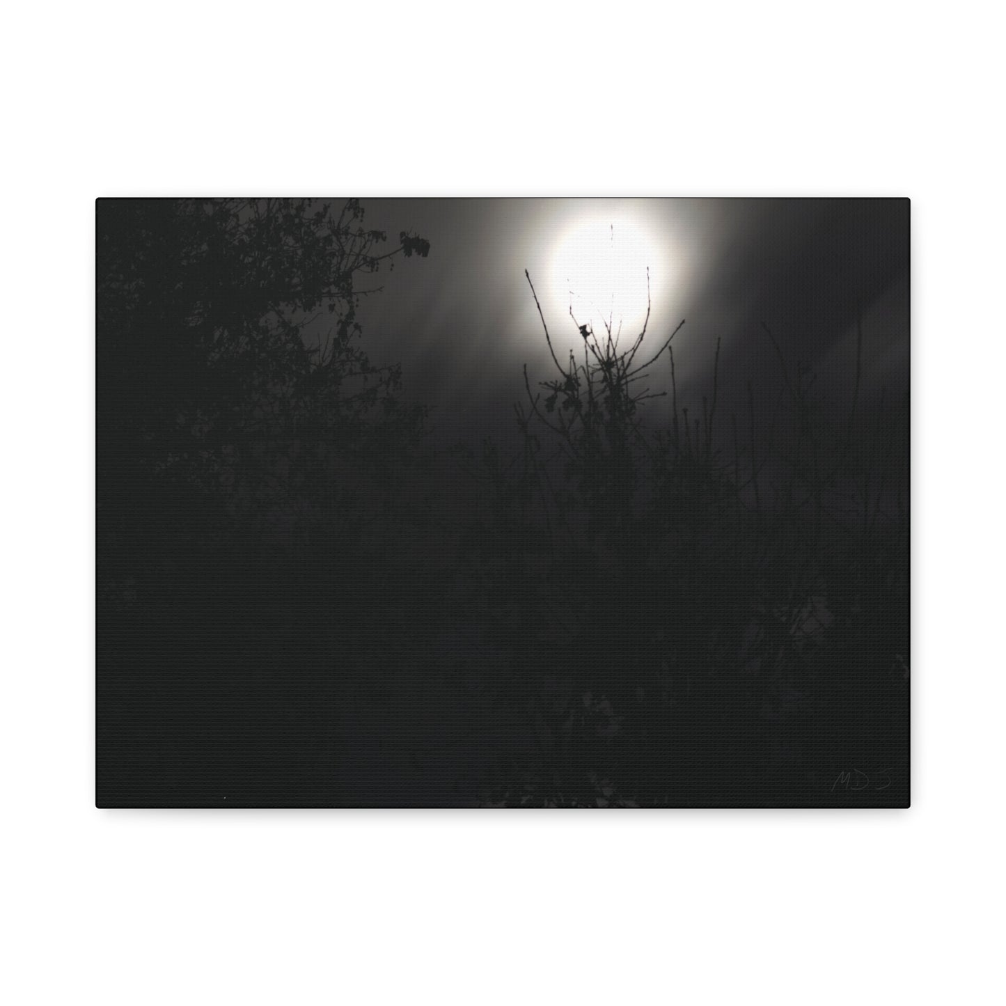 A Dance of Shadows Beneath the Moonlight [28] | Stretched Canvas
