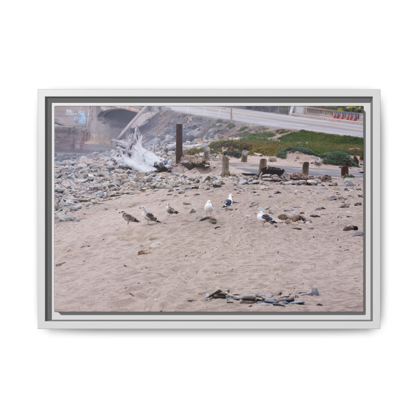 California Shoreline Escape [4275] | Framed Canvas