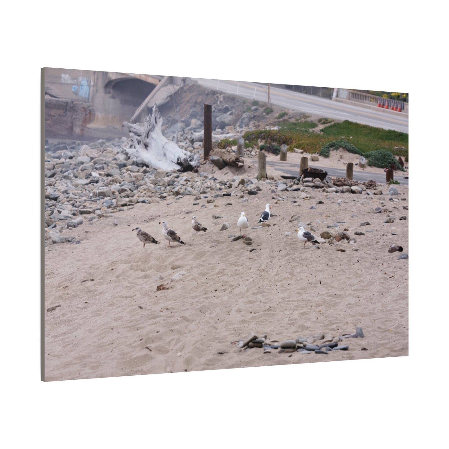 California Shoreline Escape [4275] | Stretched Canvas