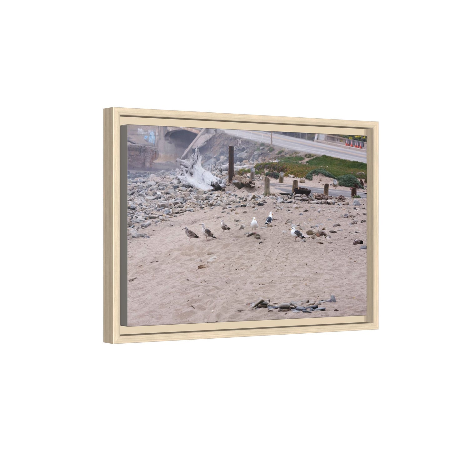 California Shoreline Escape [4275] | Framed Canvas