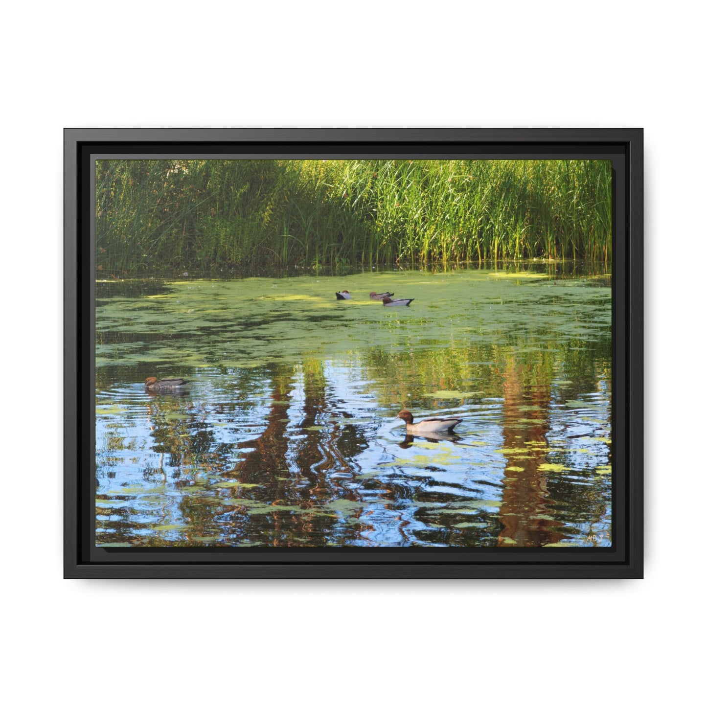 Late Morning Marsh Reflections at Croydon Park | The Framed Canvas Deployment