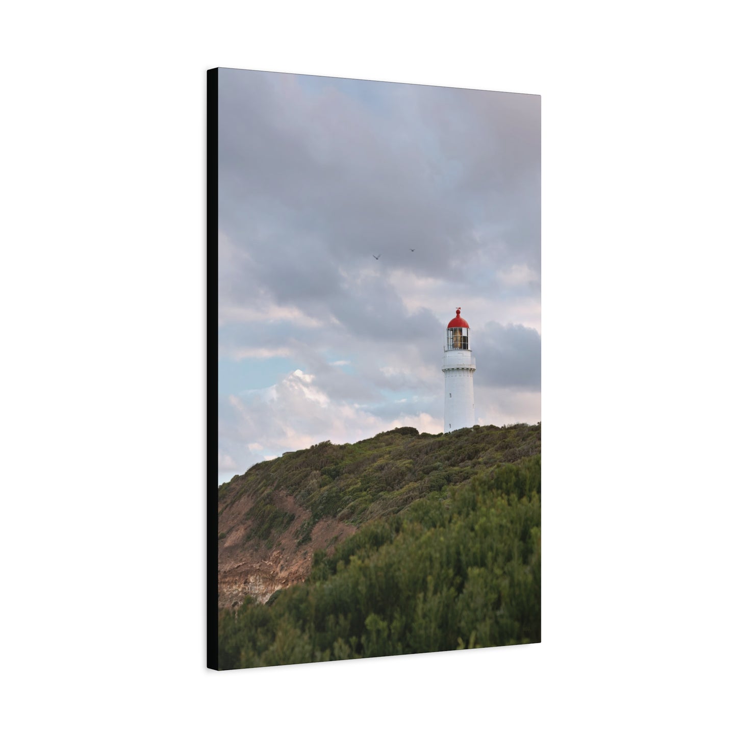 Cape Schank Lighthouse in Winter Light 6286 - Thick Matte Canvas Print