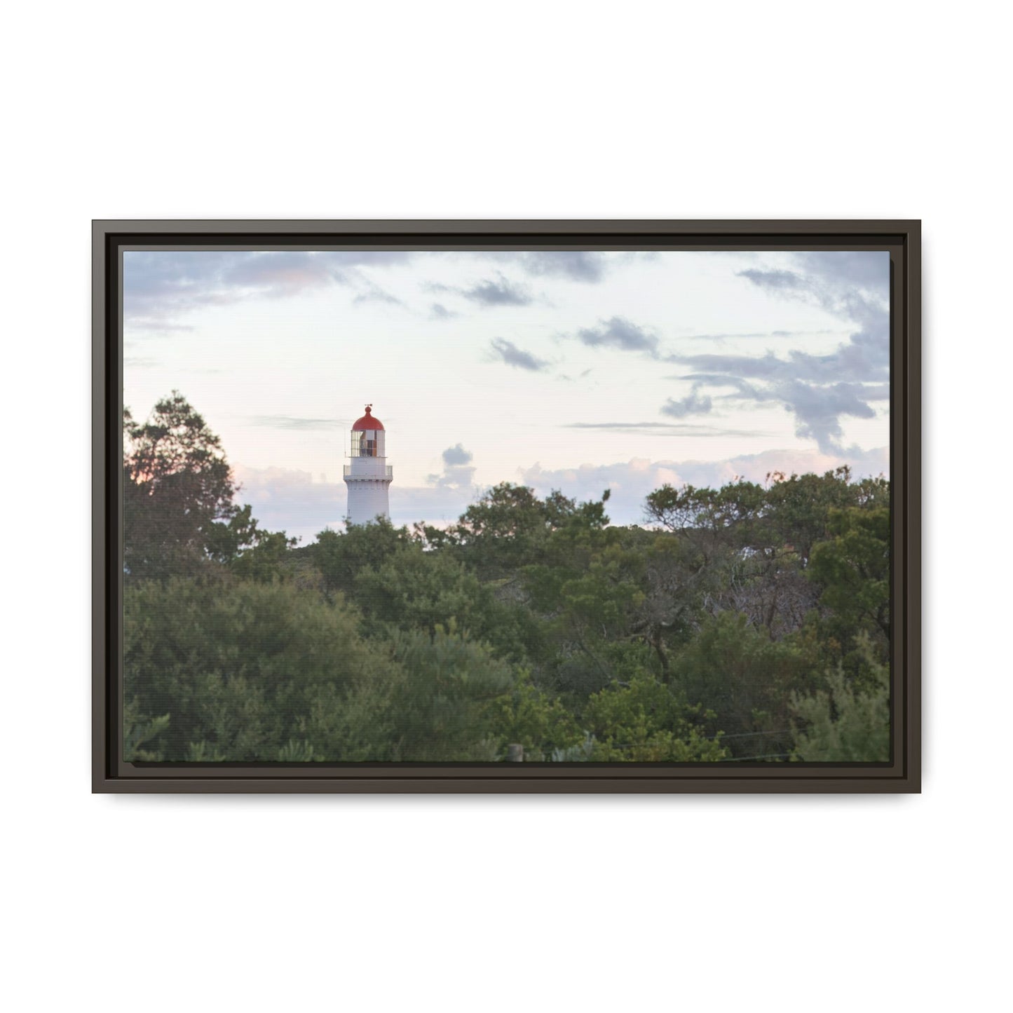 Cape Schank Lighthouse on a Winter Morning [6279] | Framed Canvas