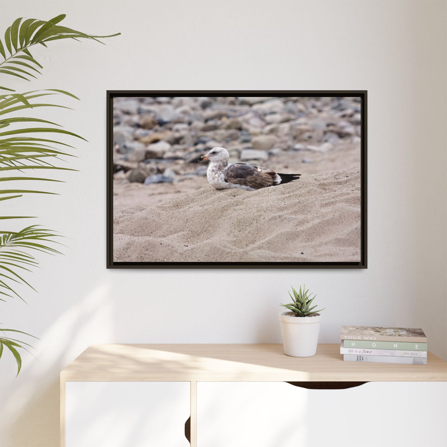 Seagull Serenity on the Shore 4278 - Thick Matte Canvas Print, Framed