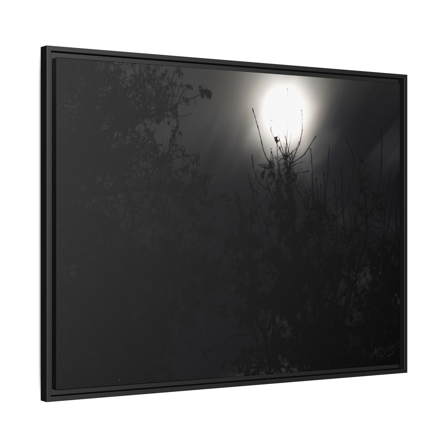 A Dance of Shadows Beneath the Moonlight [28] | Framed Canvas
