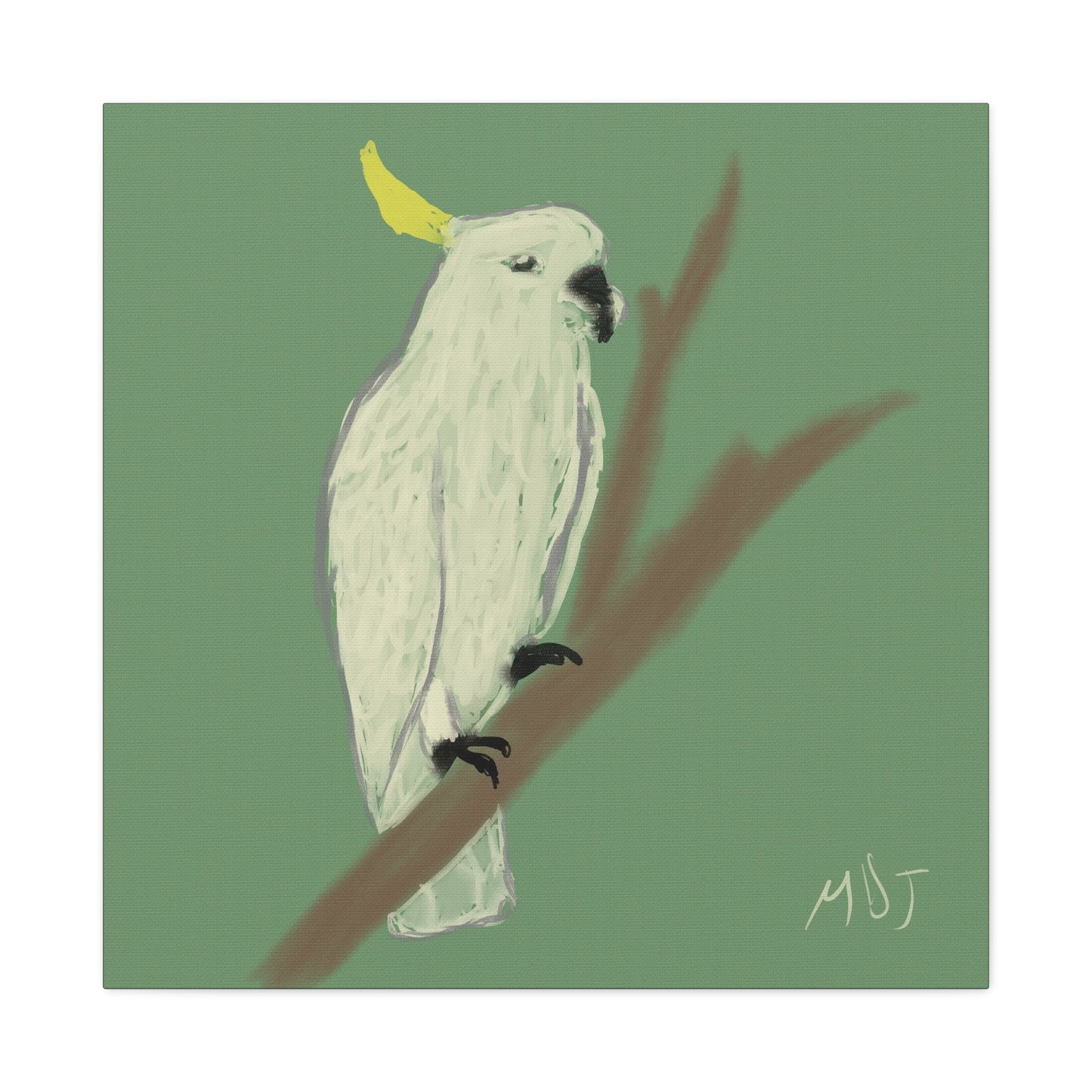 Cockatoo Charm - Canvas Print