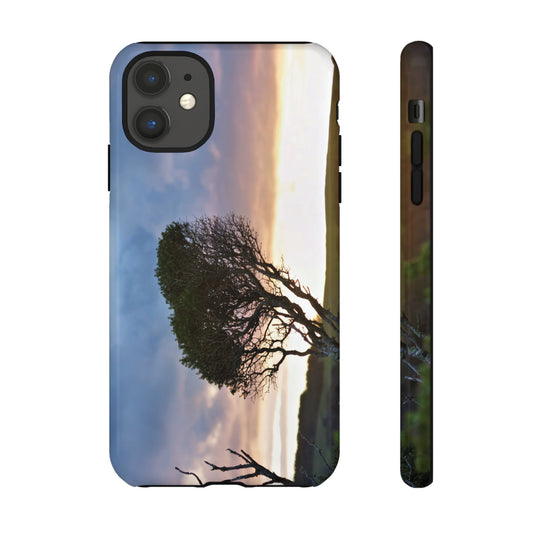 Serene Landscape of a Winter Sunrise: Melaleuca lanceolata in Cape Schank 6281 - Tough Case