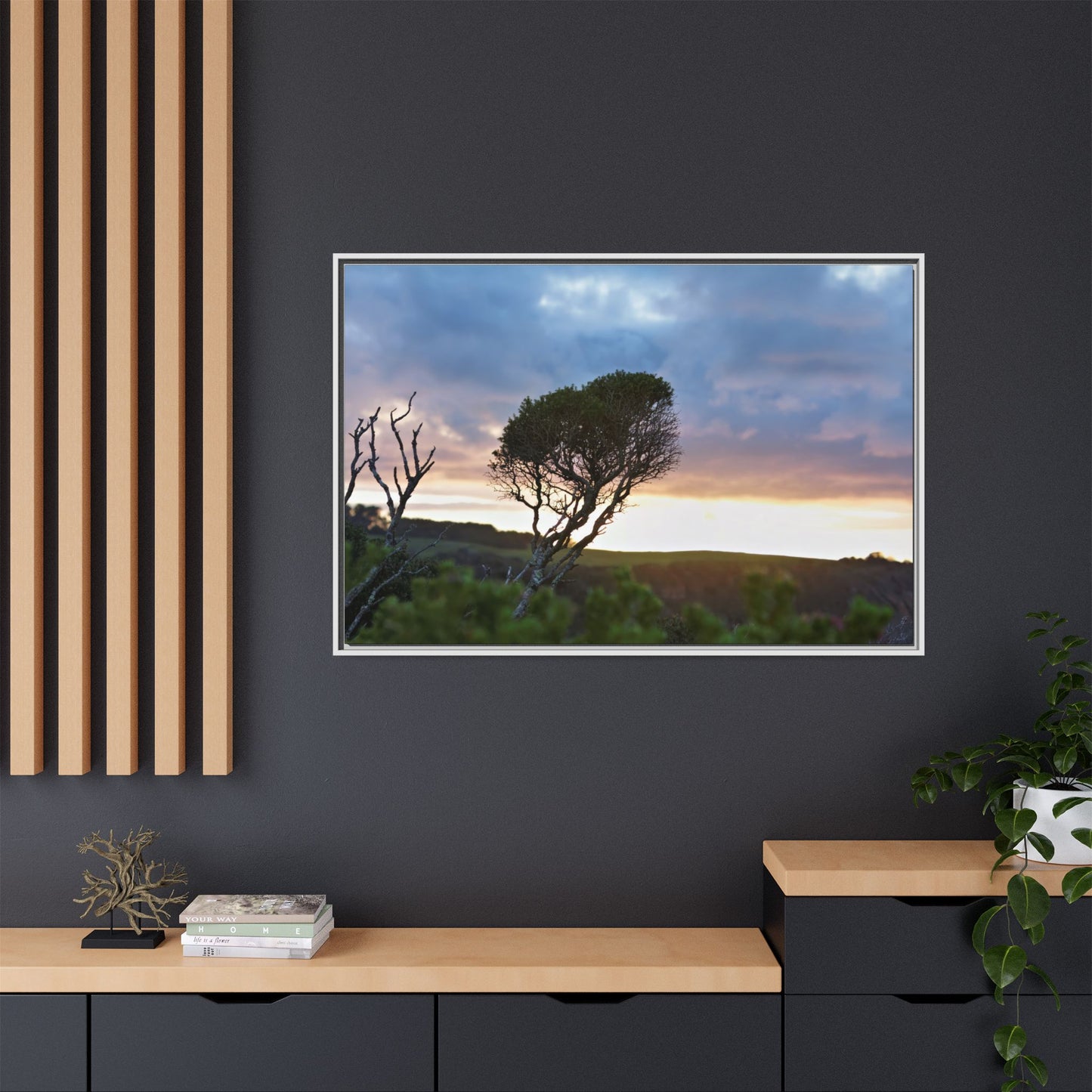 Serene Landscape of a Winter Sunrise: Melaleuca lanceolata in Cape Schank 6281 - Thick Matte Canvas Print, Framed