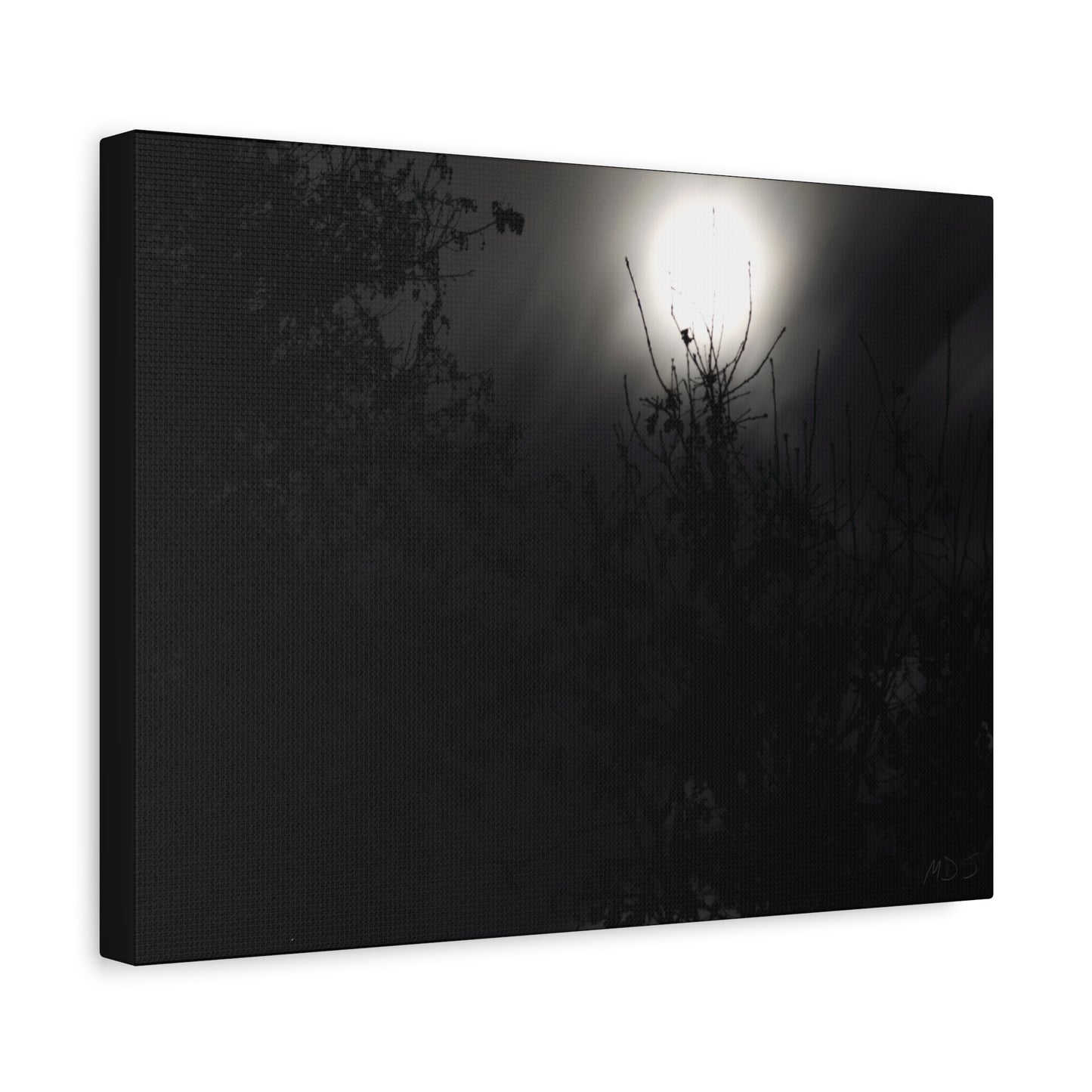 A Dance of Shadows Beneath the Moonlight [28] | Stretched Canvas