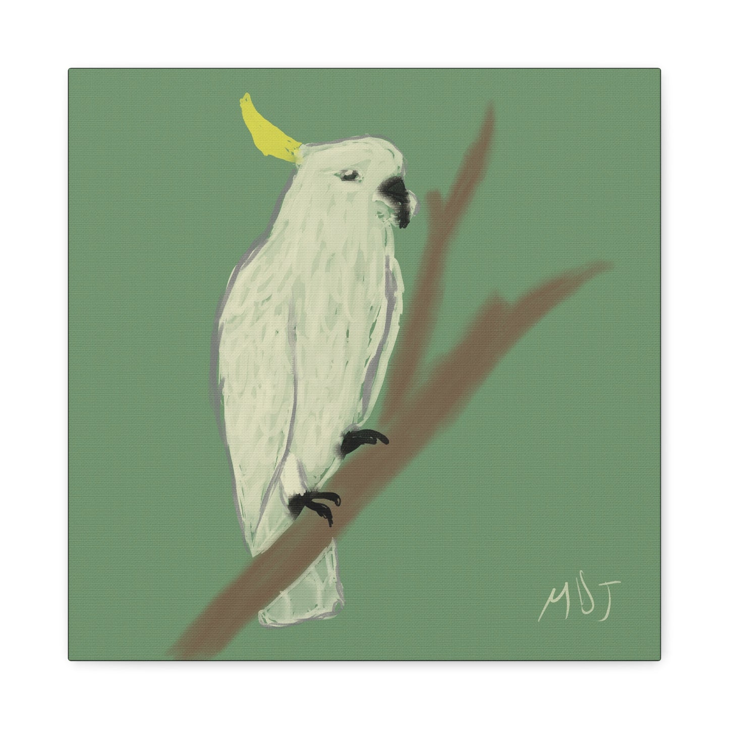 Cockatoo Charm - Canvas Print