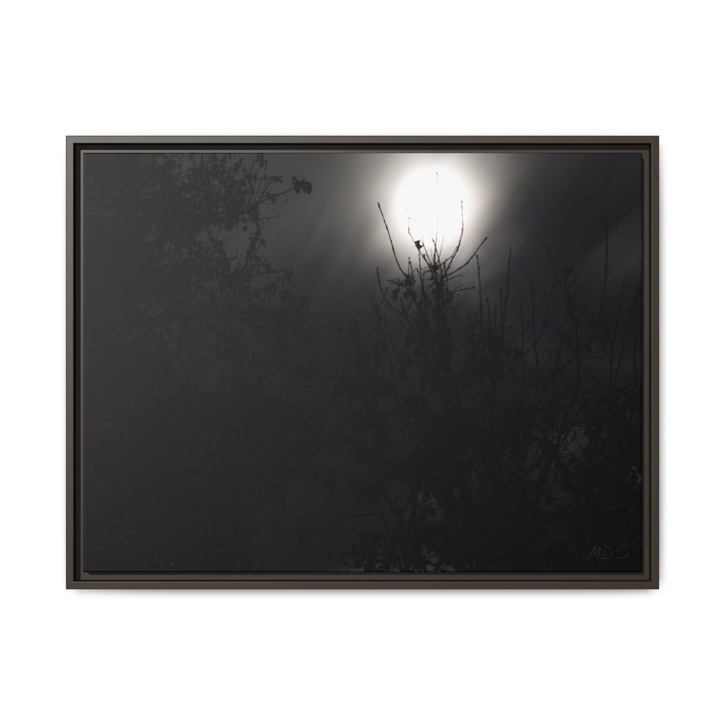 A Dance of Shadows Beneath the Moonlight [28] | Framed Canvas