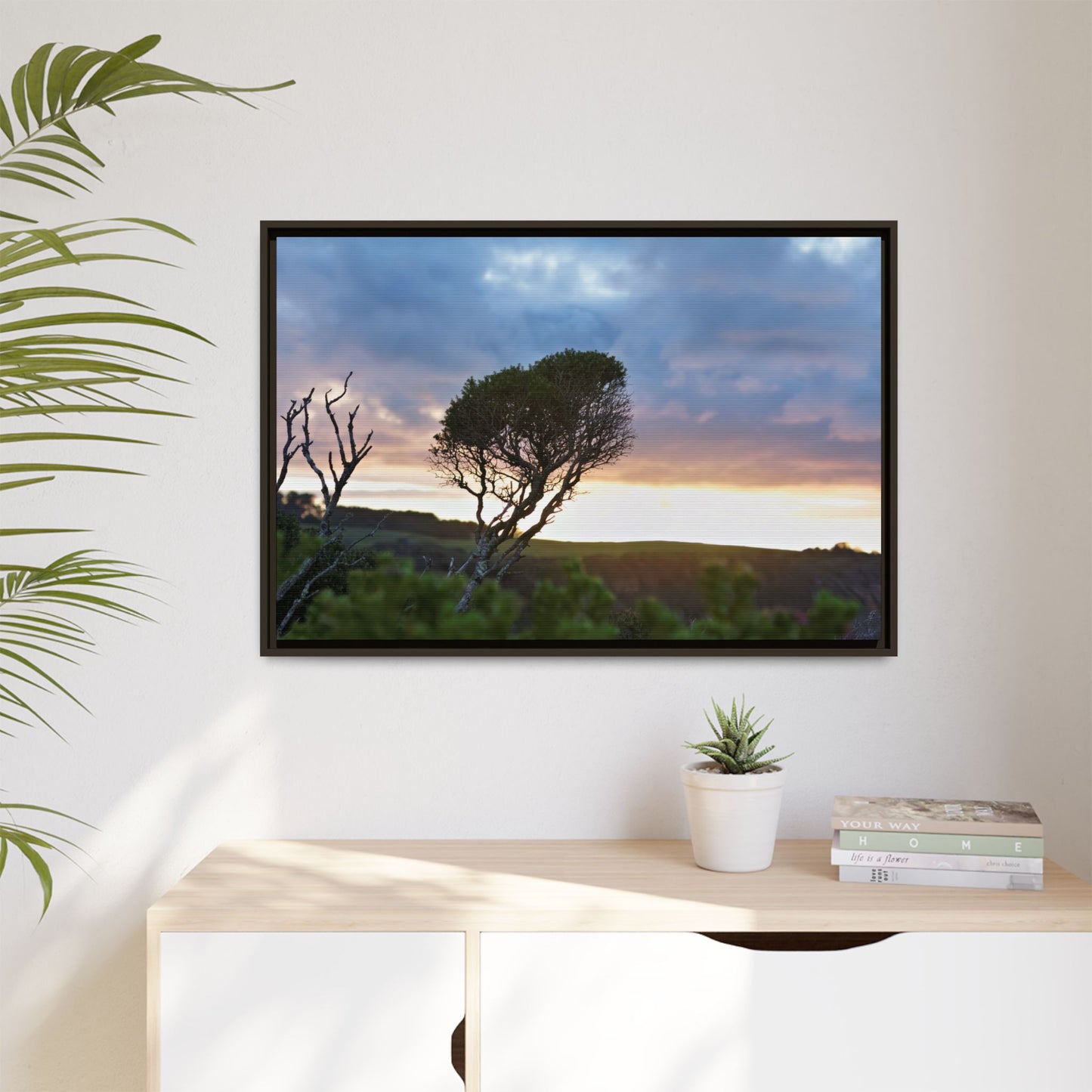 Serene Landscape of a Winter Sunrise: Melaleuca lanceolata in Cape Schank 6281 - Thick Matte Canvas Print, Framed