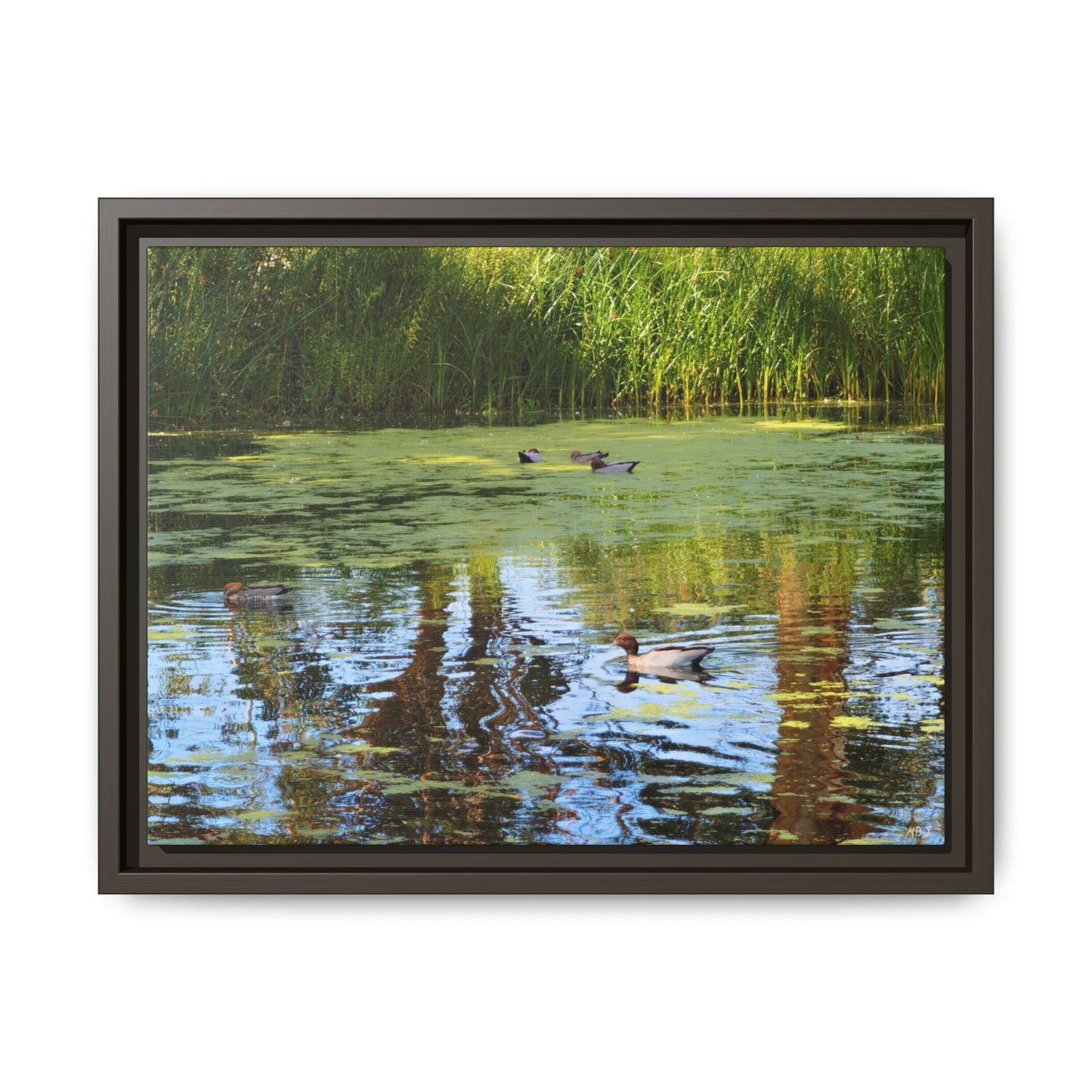 Late Morning Marsh Reflections at Croydon Park | The Framed Canvas Deployment