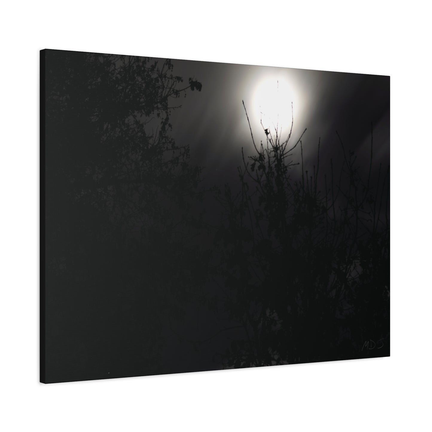A Dance of Shadows Beneath the Moonlight [28] | Stretched Canvas