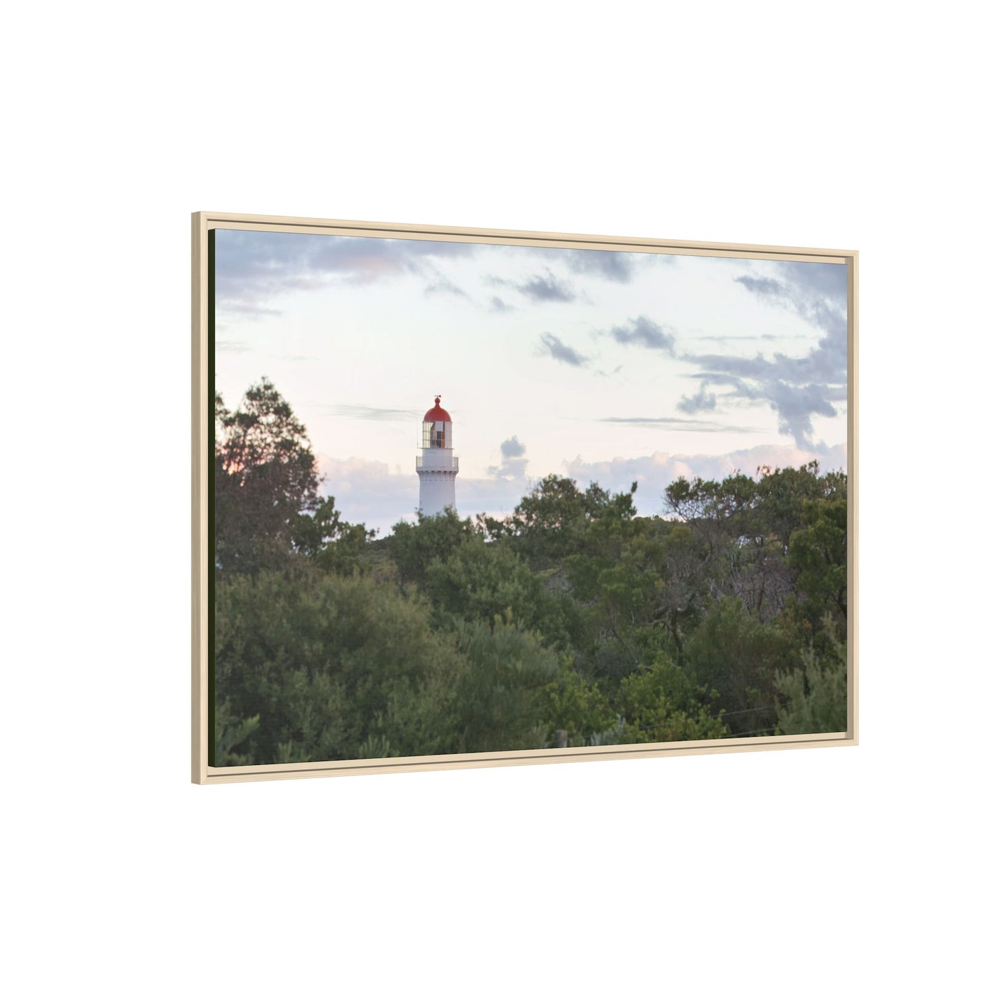 Cape Schank Lighthouse on a Winter Morning [6279] | Framed Canvas