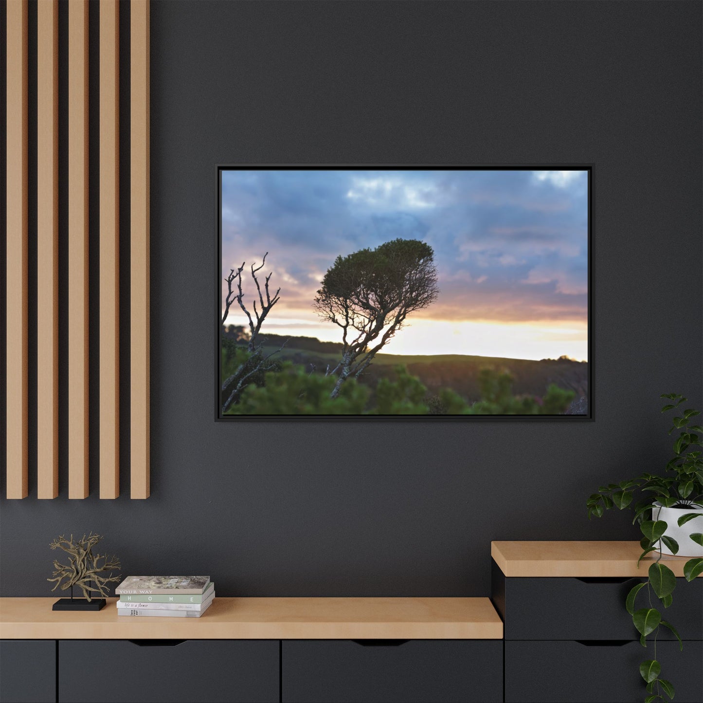 Melaleuca lanceolata in Cape Schank [6281] | Framed Canvas
