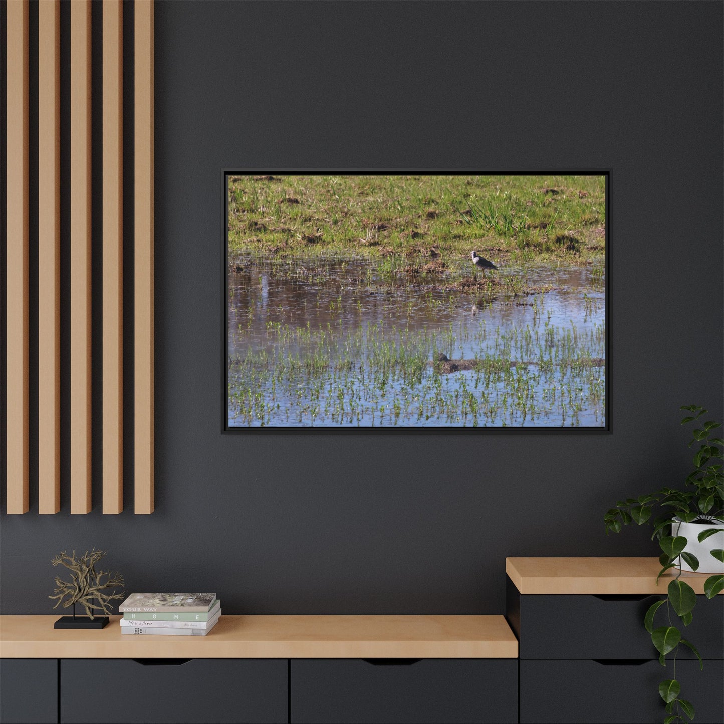 Sandpiper in Serene Wetland [2897] | Framed Canvas