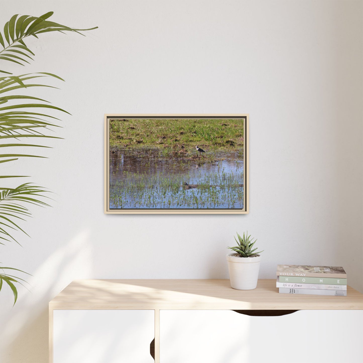 Sandpiper in Serene Wetland [2897] | Framed Canvas