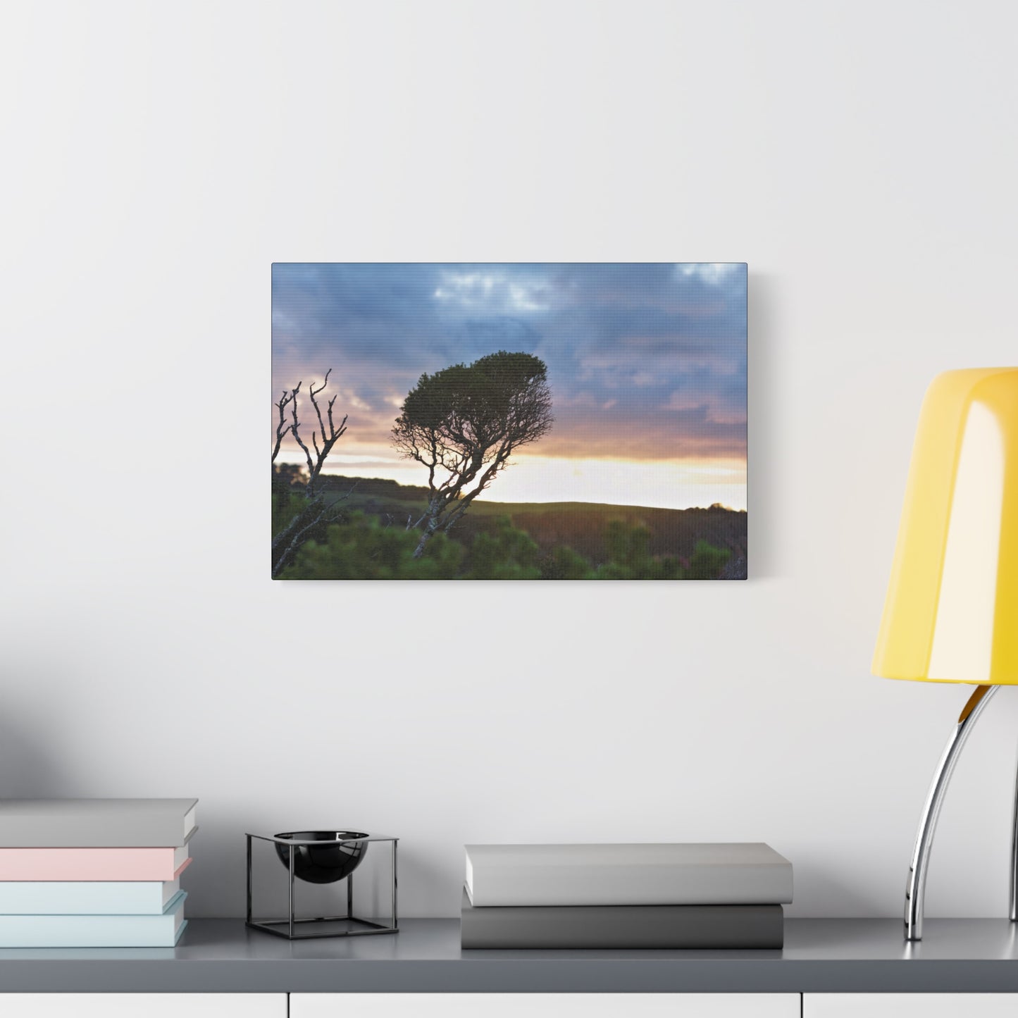 Serene Landscape of a Winter Sunrise: Melaleuca lanceolata in Cape Schank 6281 - Thick Matte Canvas Print