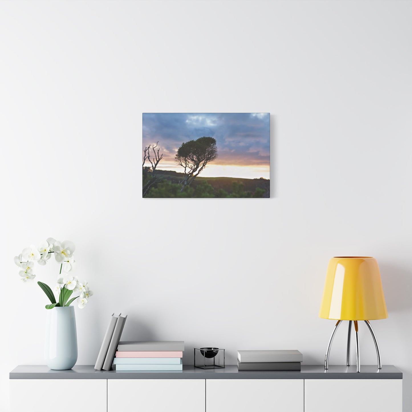 Serene Landscape of a Winter Sunrise: Melaleuca lanceolata in Cape Schank 6281 - Thick Matte Canvas Print