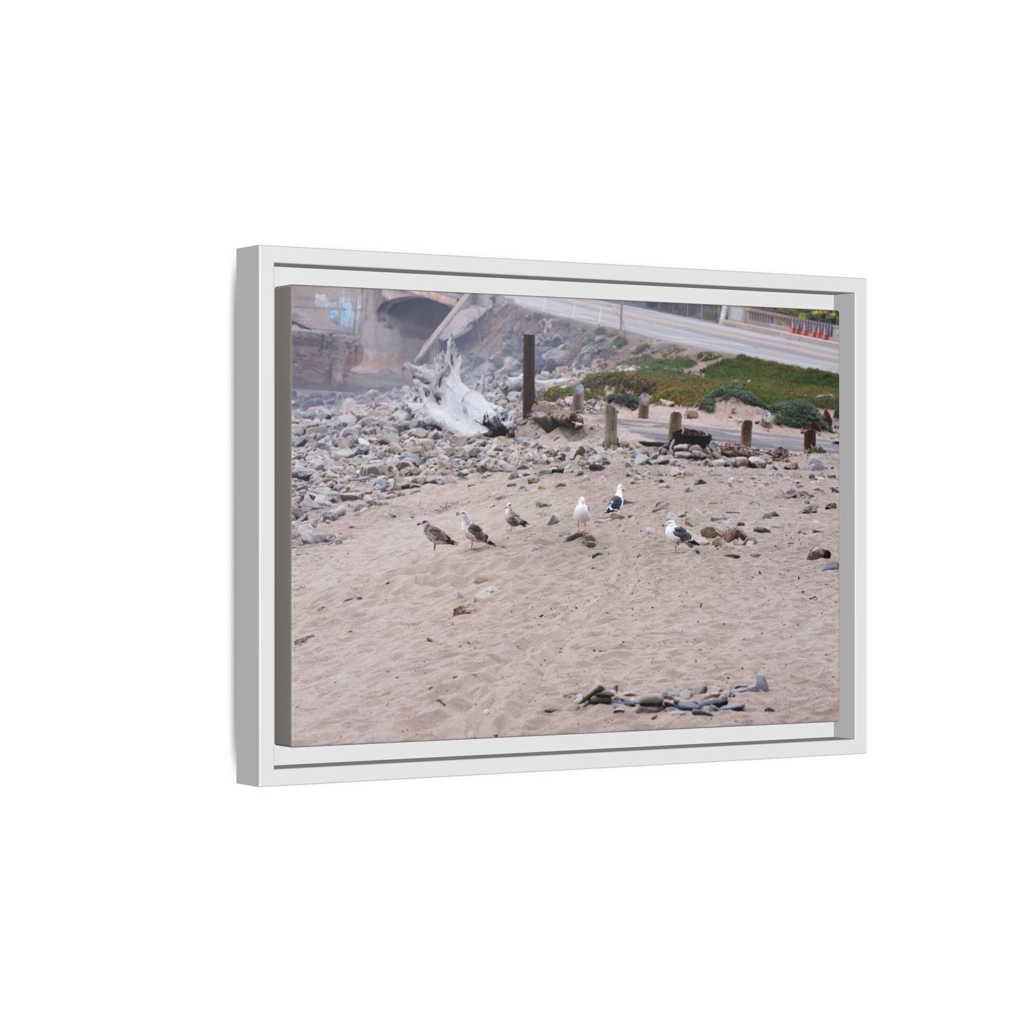 California Shoreline Escape [4275] | Framed Canvas