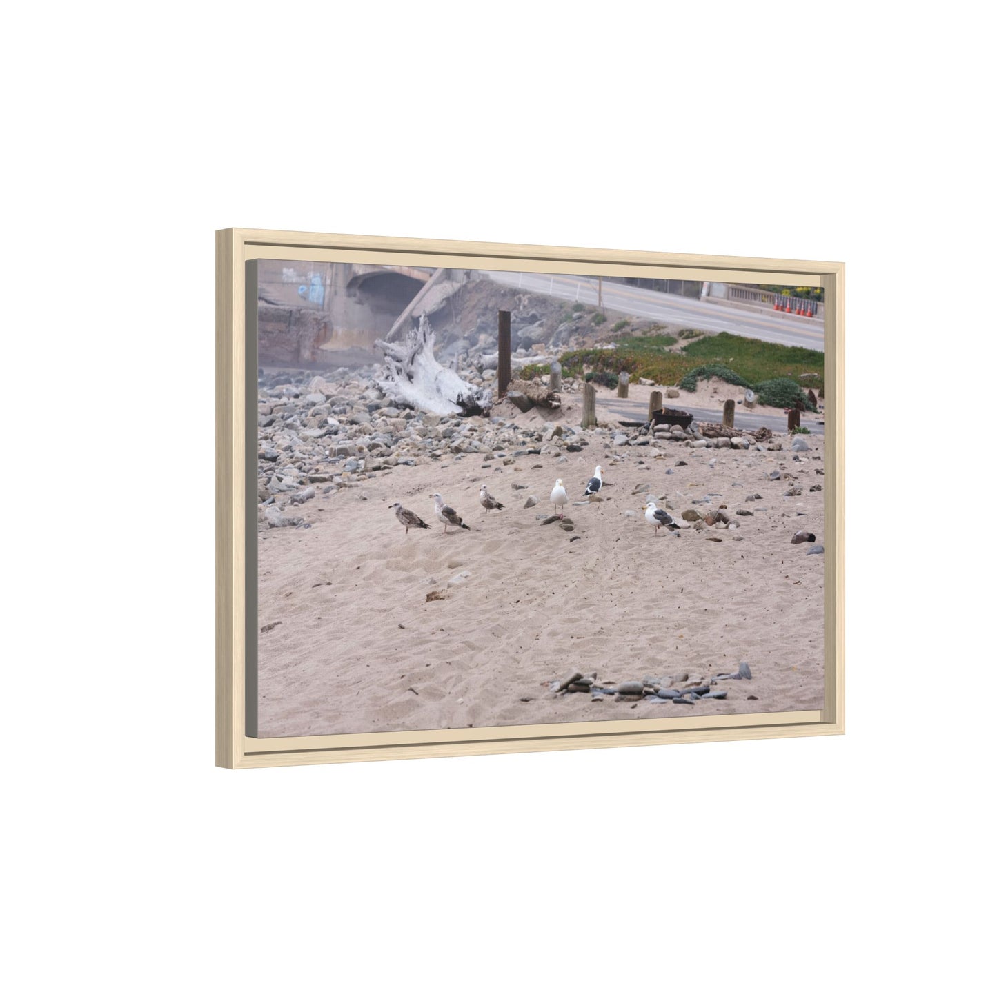 California Shoreline Escape [4275] | Framed Canvas