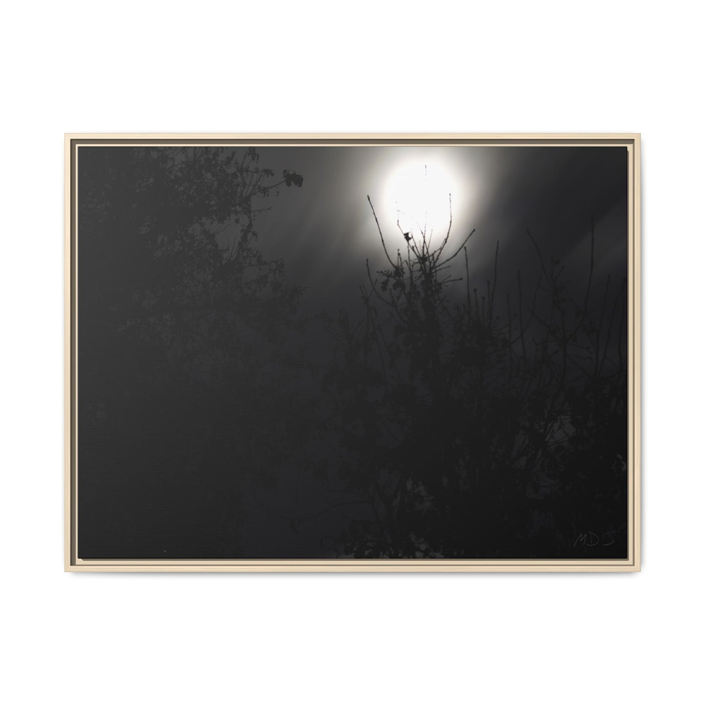 A Dance of Shadows Beneath the Moonlight [28] | Framed Canvas