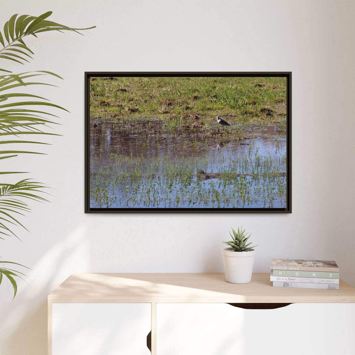 Sandpiper in Serene Wetland [2897] | Framed Canvas