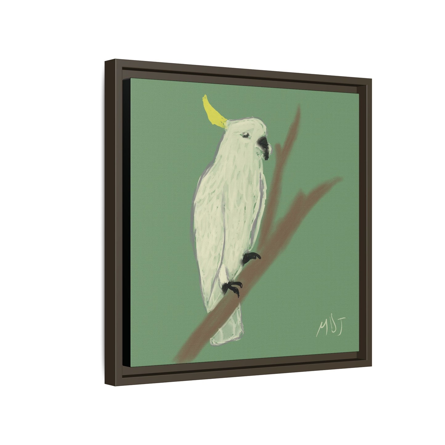 Cockatoo Charm - Framed Canvas Print