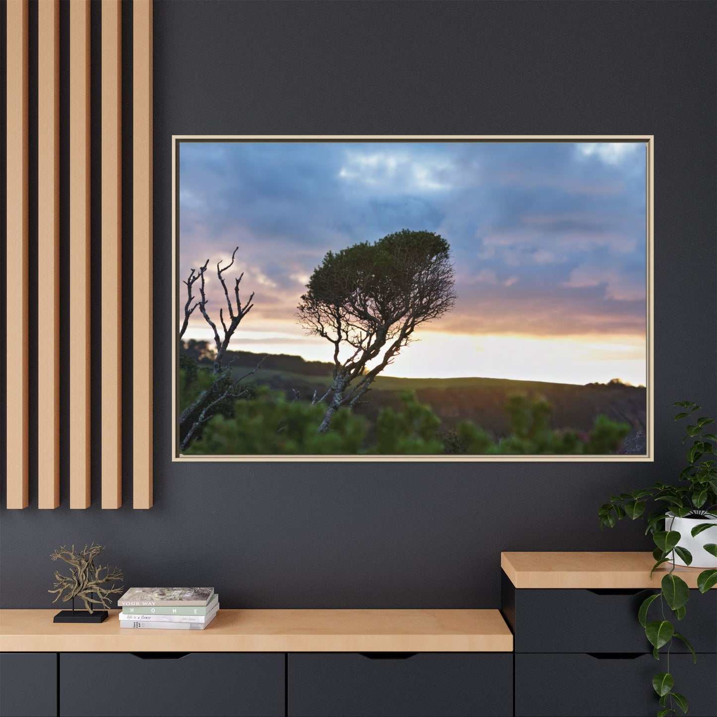 Melaleuca lanceolata in Cape Schank [6281] | Framed Canvas