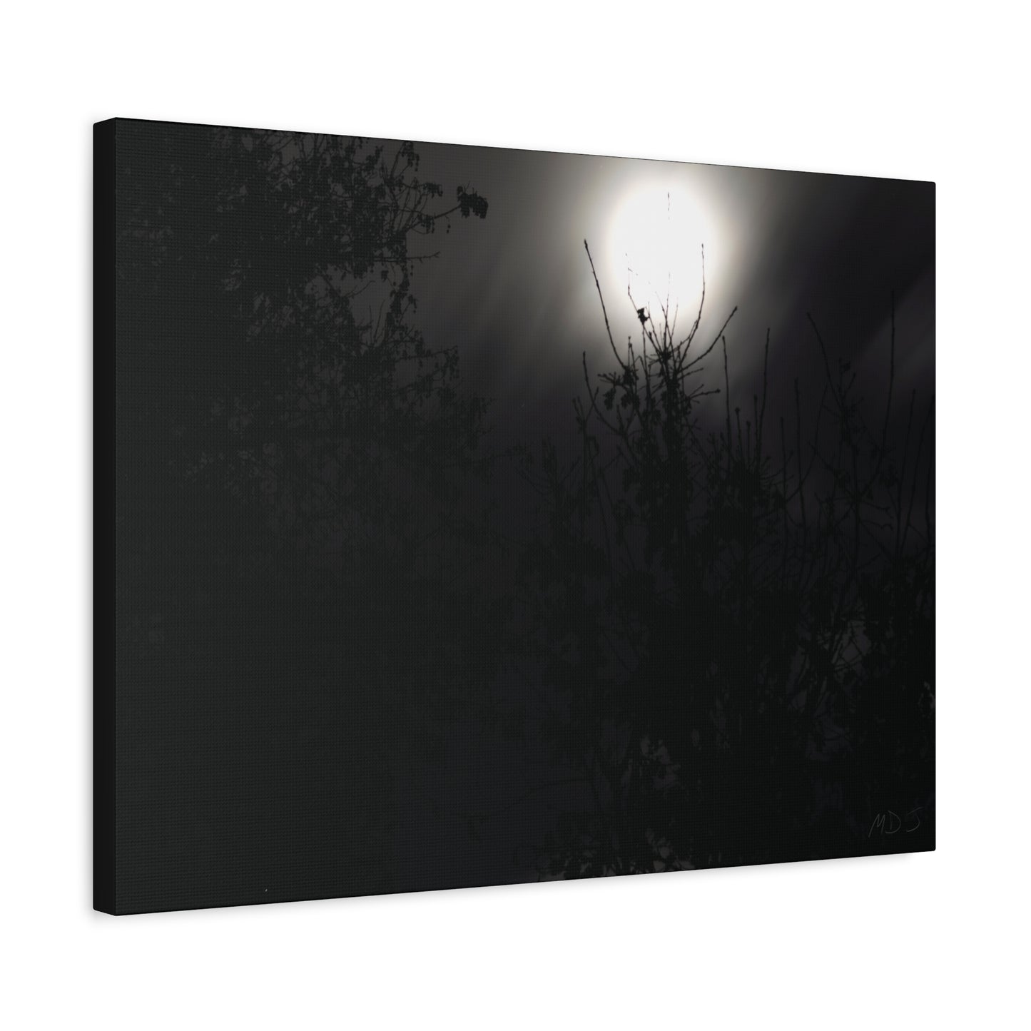 A Dance of Shadows Beneath the Moonlight [28] | Stretched Canvas