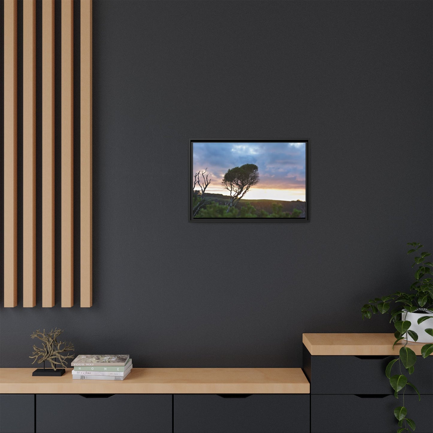 Melaleuca lanceolata in Cape Schank [6281] | Framed Canvas