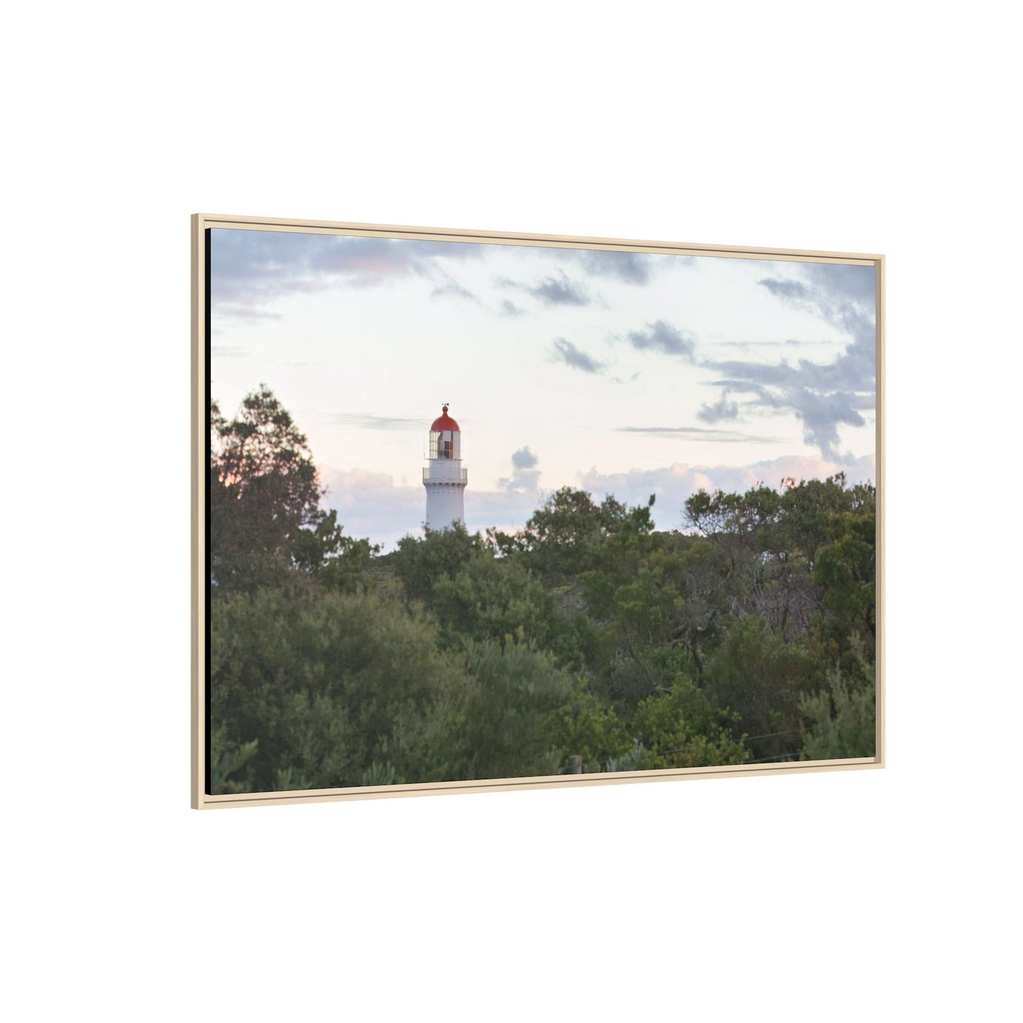 Cape Schank Lighthouse on a Winter Morning 6279 - Framed Canvas Print