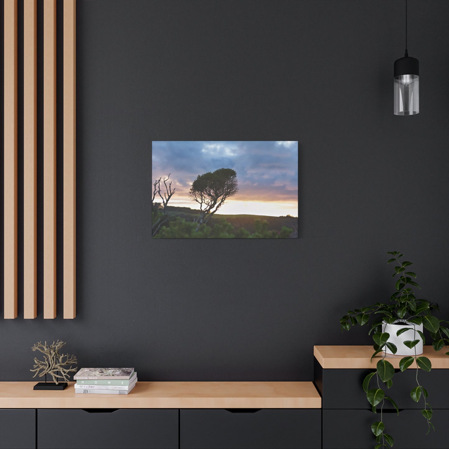 Serene Landscape of a Winter Sunrise: Melaleuca lanceolata in Cape Schank 6281 - Thick Matte Canvas Print