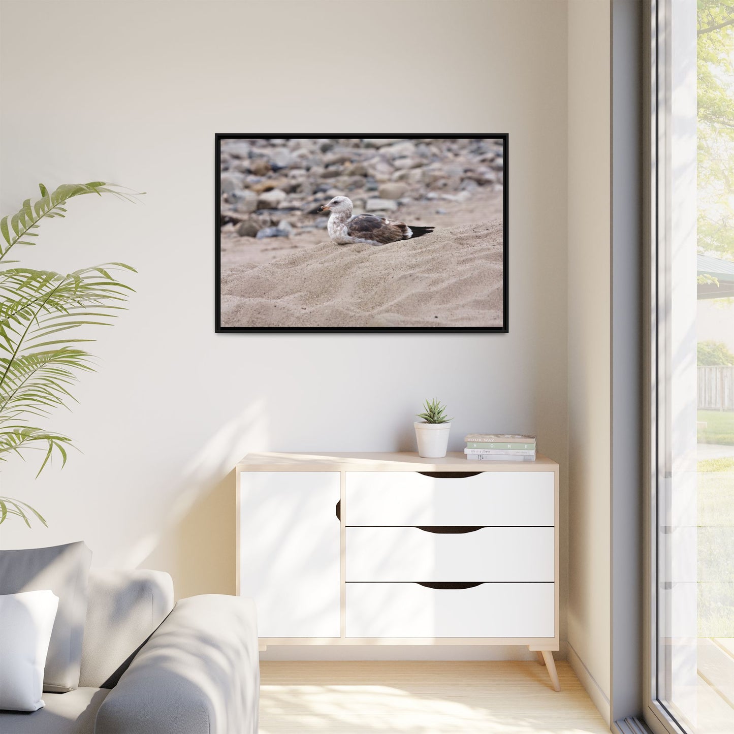 Seagull Serenity on the Shore 4278 - Thick Matte Canvas Print, Framed