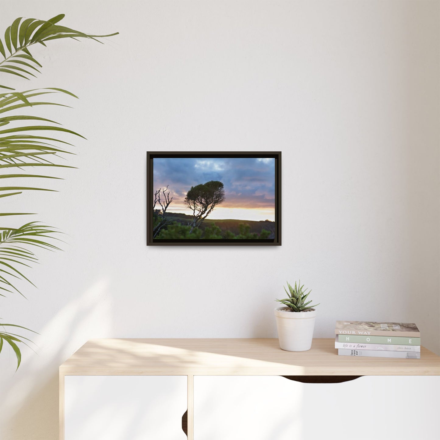 Melaleuca lanceolata in Cape Schank [6281] | Framed Canvas