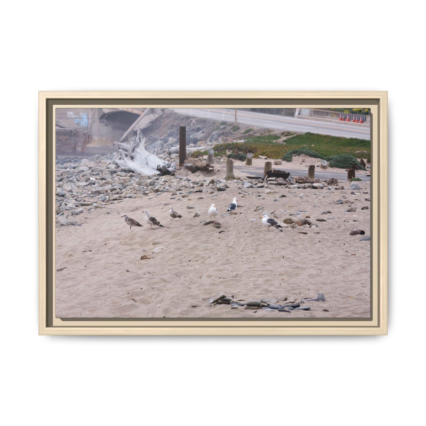 California Shoreline Escape [4275] | Framed Canvas