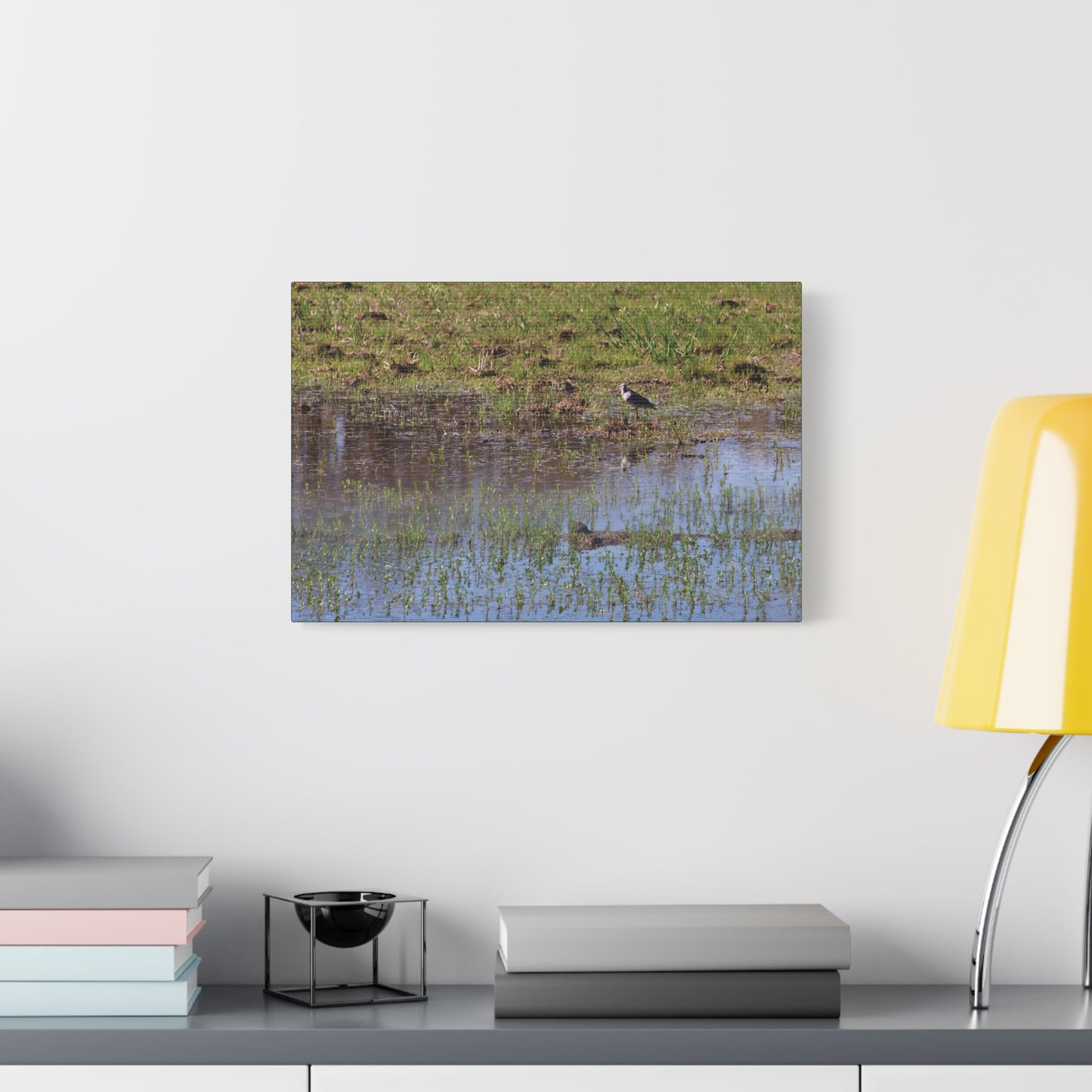 Sandpiper in Serene Wetland [2897] | Stretched Canvas