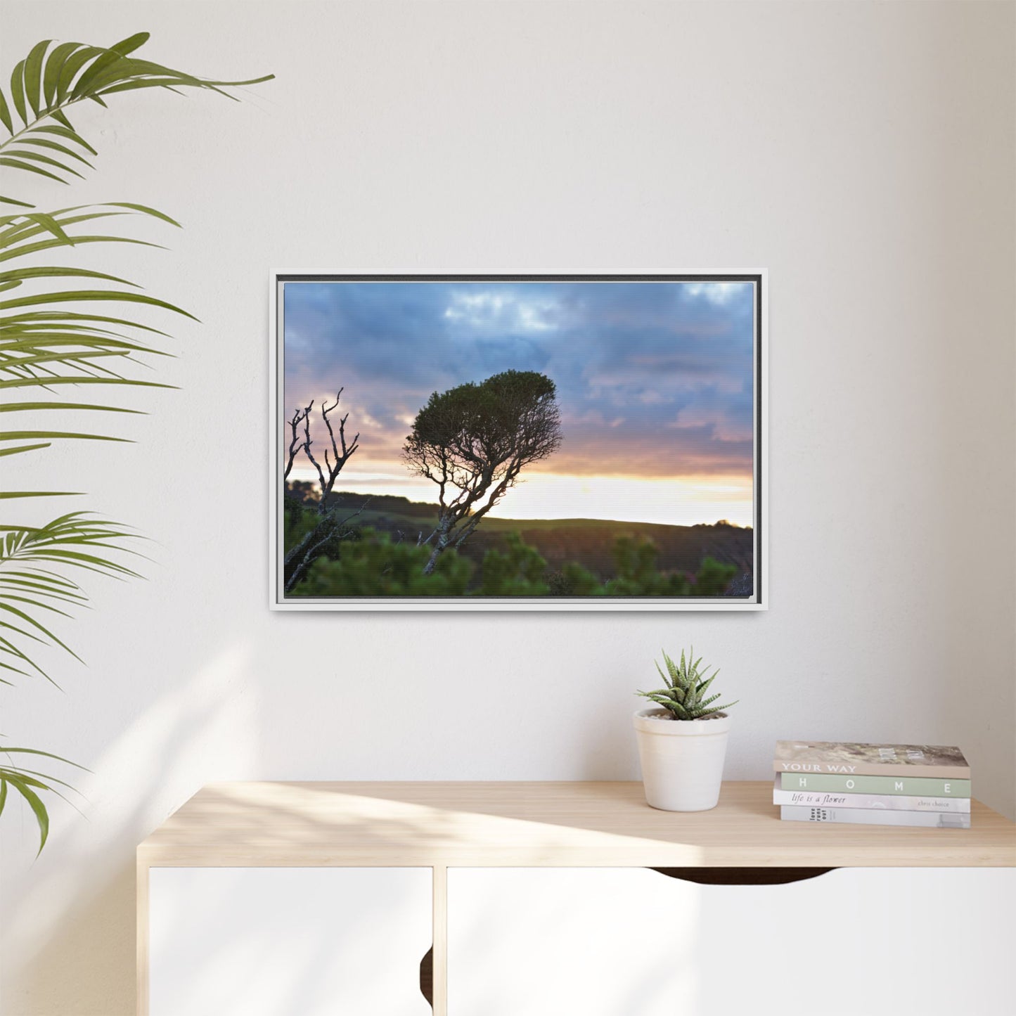 Serene Landscape of a Winter Sunrise: Melaleuca lanceolata in Cape Schank 6281 - Thick Matte Canvas Print, Framed